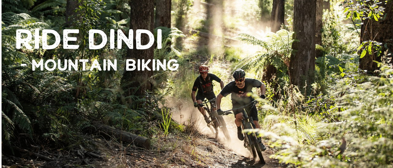 Ride Dindi MTB