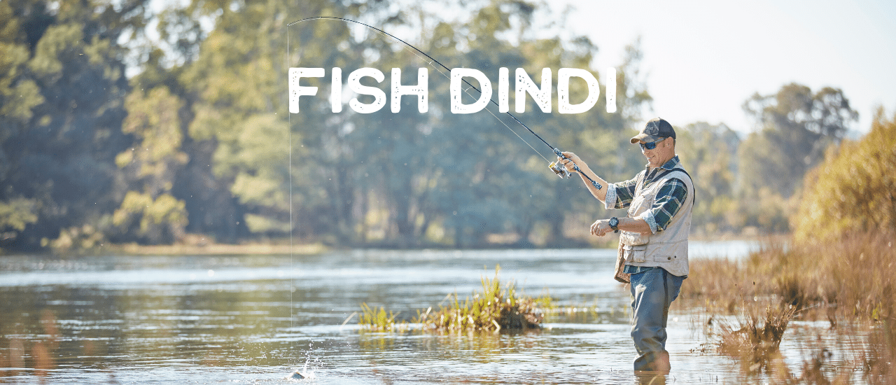 Fish Dindi Fish Dindi