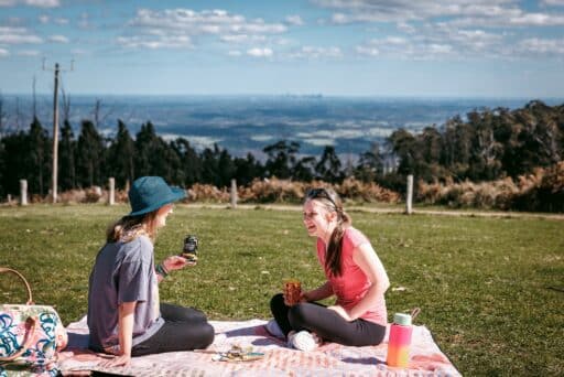 MSC2025-Kinglake-LadyStonehavensLookout-002.jpg_compressed