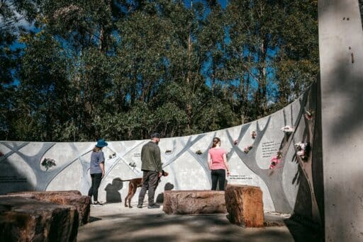 MSC2025-Kinglake-LadyStonehavensLookout-013.jpg_compressed