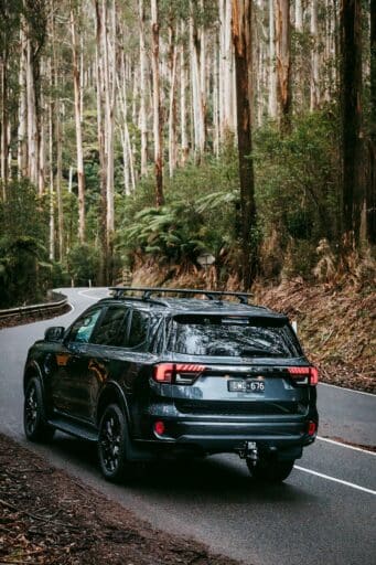 MSC2025-Narbethong-BlackSpurDrive-002.jpg_compressed