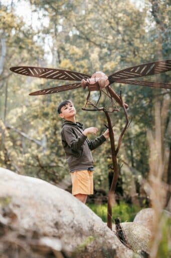 MSC2025-Yea-Wetlands-063.jpg_compressed