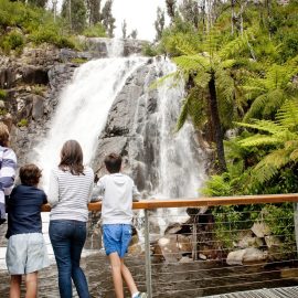 Steavenson Falls