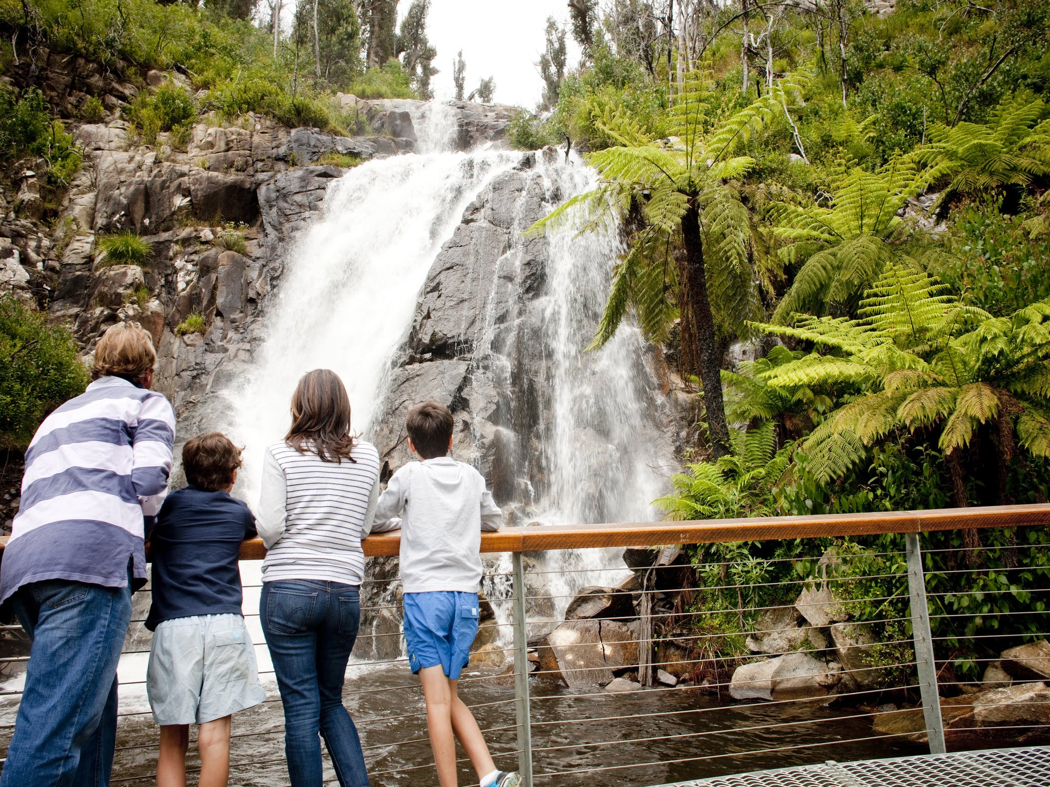 Steavenson Falls Steavenson Falls