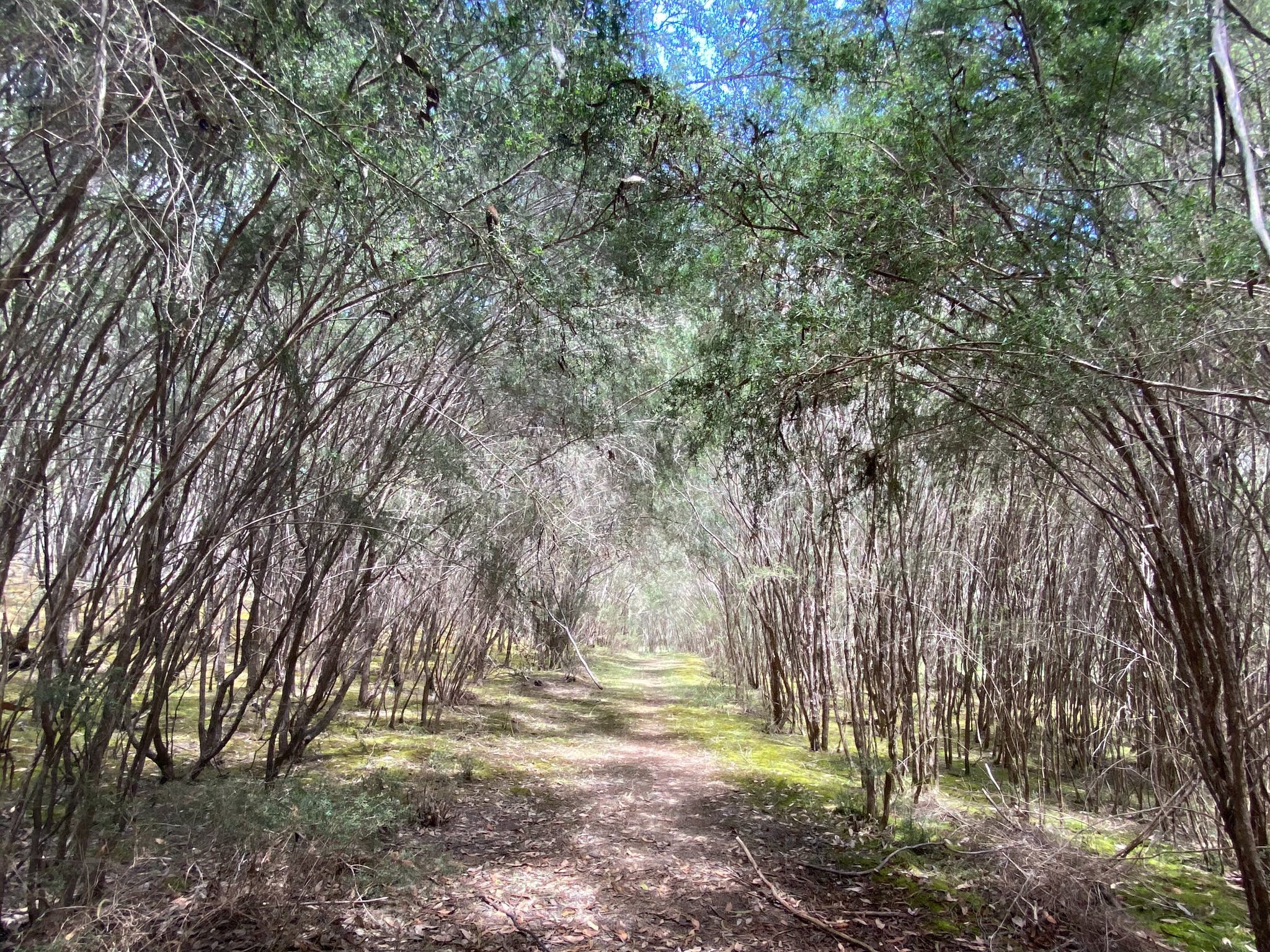 Perfect Cure Creek Nature Trail