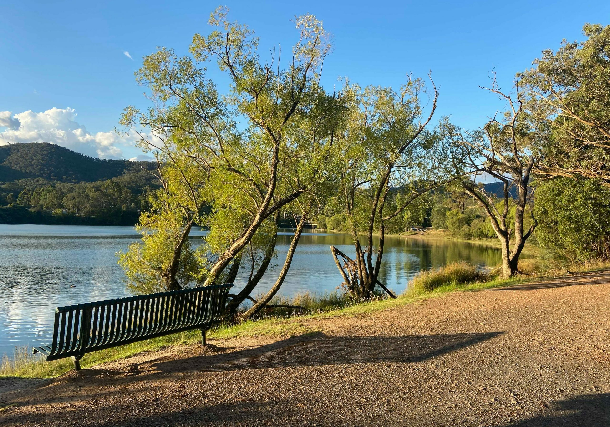 Eildon Pondage Walk