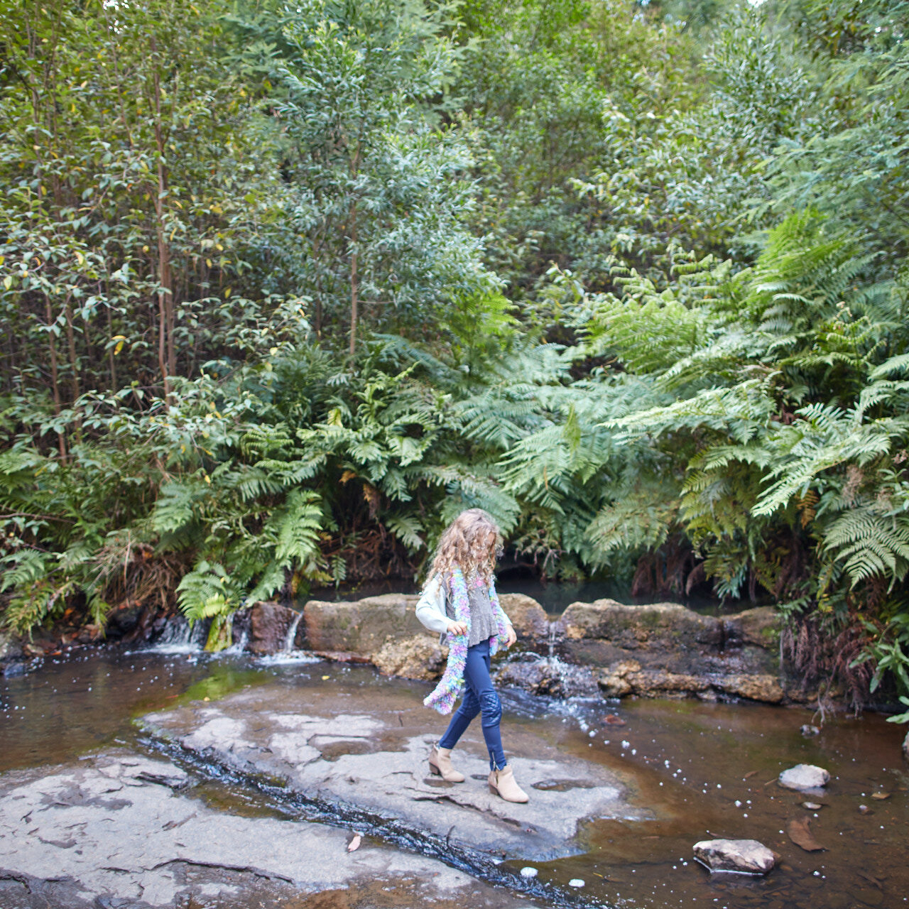 Murrindindi - Masons Falls _MS85990