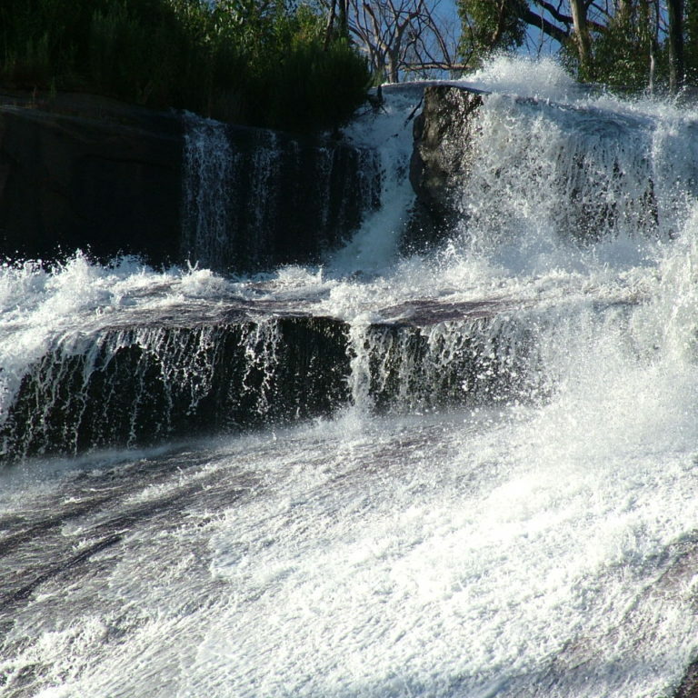 Murrindindi Scenic Reserve - DELWP. (4)