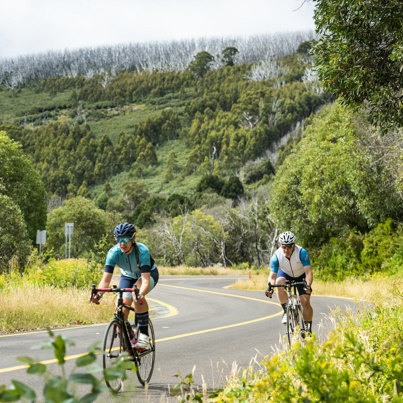 Murrindindi Lake Mountain ride road