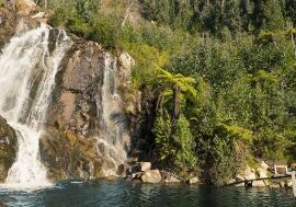 Steavenson Falls