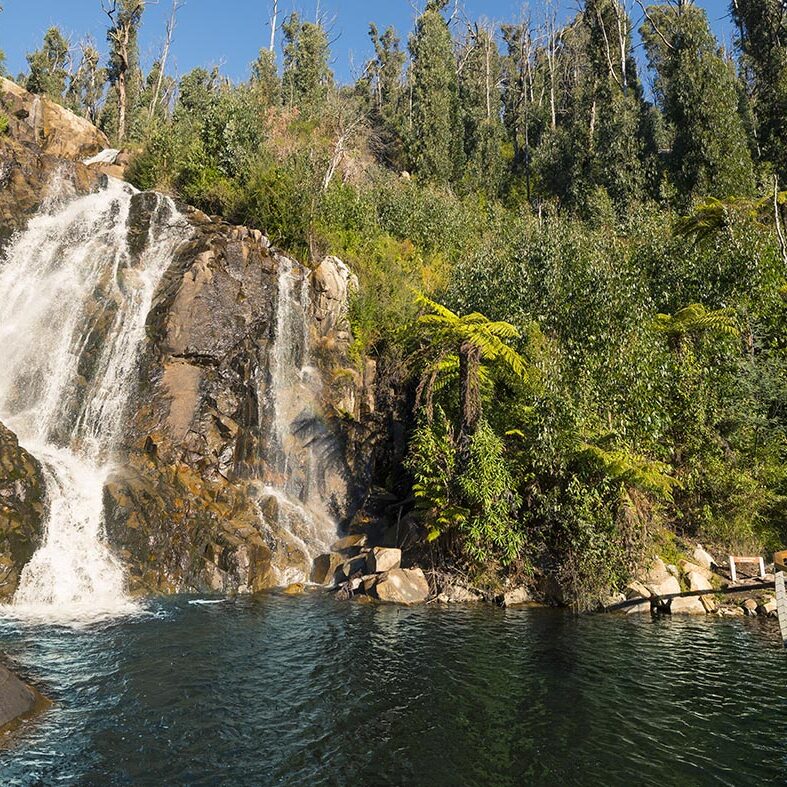 Steavenson Falls