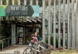Yea Wetlands Discovery Centre