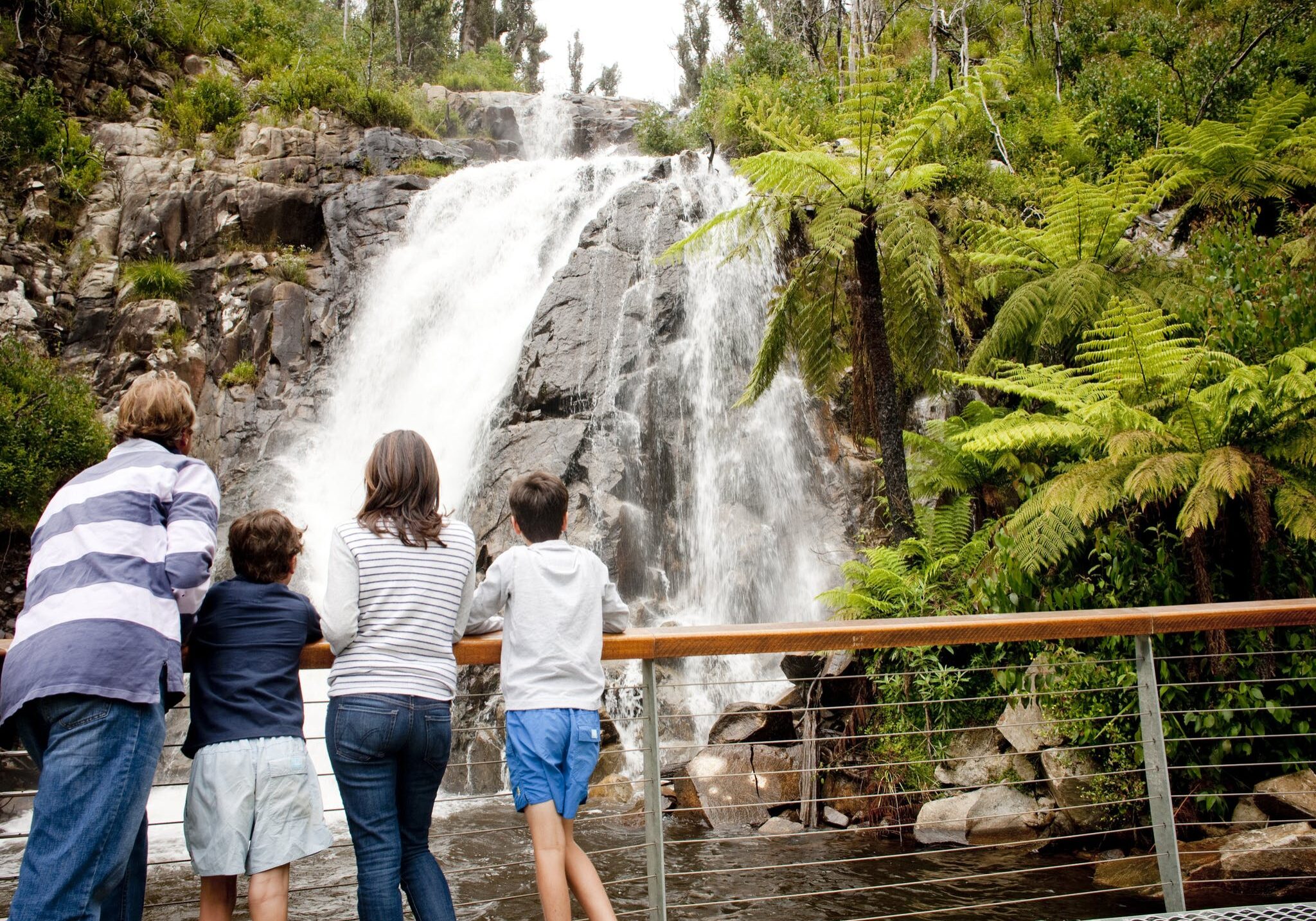 Steavenson Falls