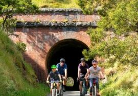 Cheviot Tunnel