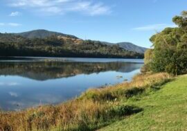 Eildon Pondage Holiday Park