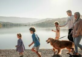 Eildon Pondage Walk