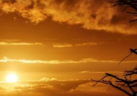 Lady Stonehavens Lookout