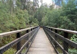 Michaeldene Trail