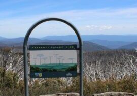 Lake Mountain Summit Walk