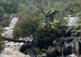 Murrindindi Cascades