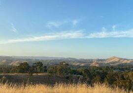 Lucky Mine Lookout