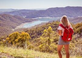 Skyline Road Lookout