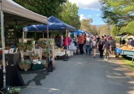 Eildon Twilight Market