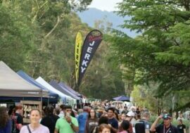Eildon Twilight Market