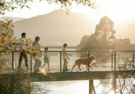 Eildon Information Centre