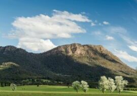Cathedral Range near Taggerty
